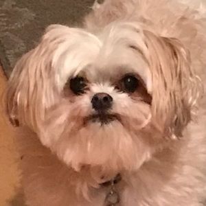 Meet your Posher, Jenifer